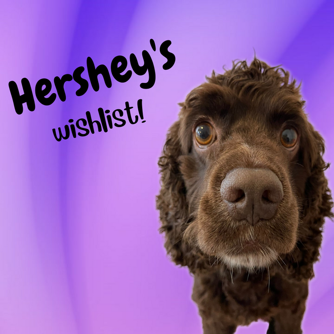 Hershey&#39;s Wishlist