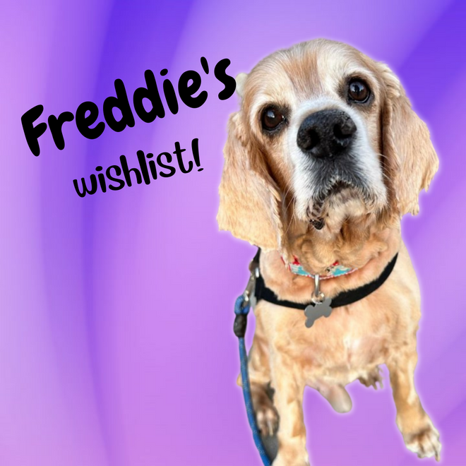 Freddie&#39;s Wishlist