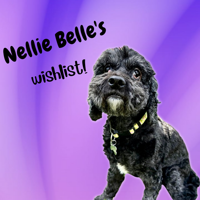 Nellie Belle&#39;s Wishlist