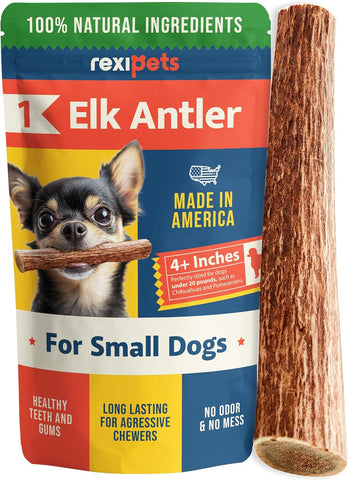 DONATE an Elk Antler to Betsy for teething on