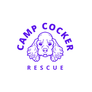 Camp Cocker Rescue
