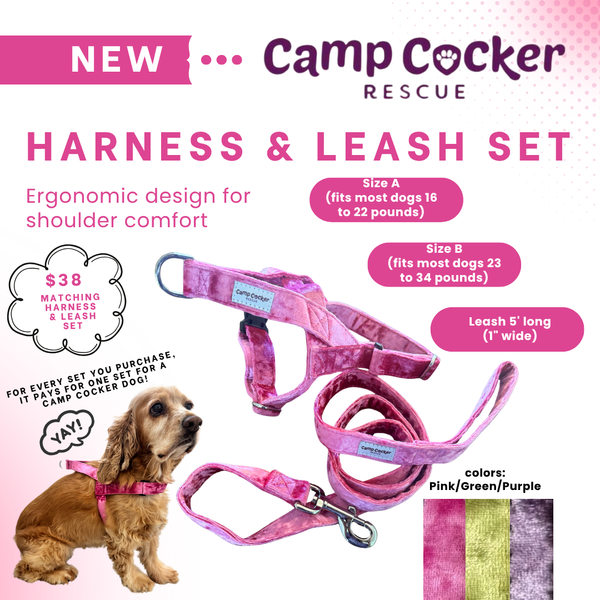 NEW: Camp Cocker harness/leash sets