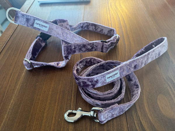 NEW: Camp Cocker harness/leash sets