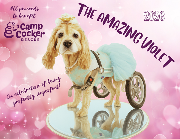 2026 calendars to support Camp Cocker Rescue!