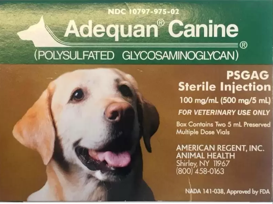 How Much Adequan Does My Dog Need