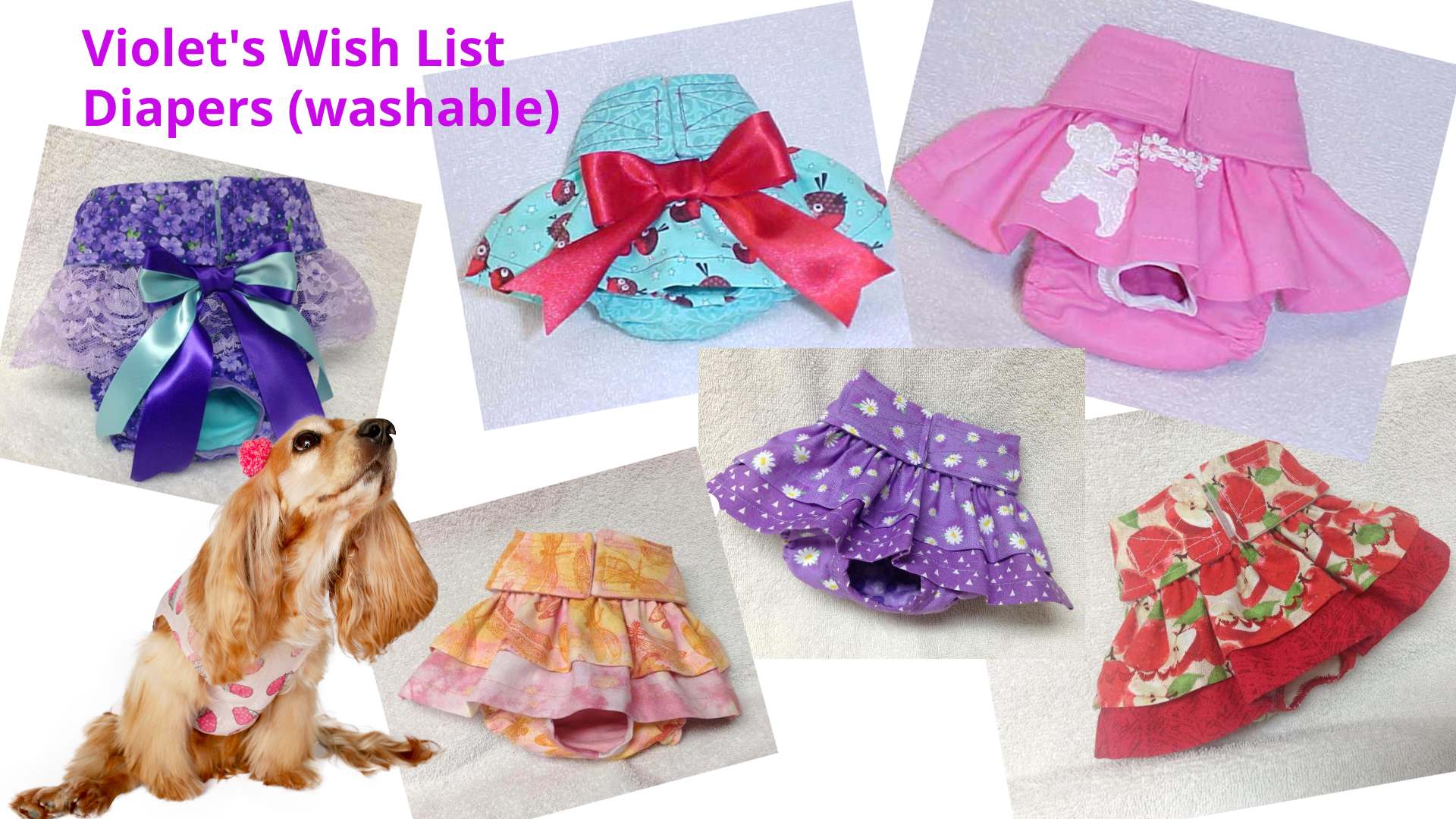 Send Violet a gift from her wish list: doggie diapers