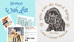 Donate a gift to Hershey from his Wish List!